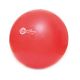 Ballon de Gymnastique ou Swiss Ball - Renforcement Musculaire - Exercices Pilates