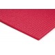 Détails Tapis Mat de Yoga anti-dérapant - Fuschia - Exercices Pilates - Sport Pilates