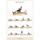 Poster Reformer I