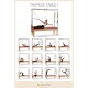 Poster Trapeze Table I