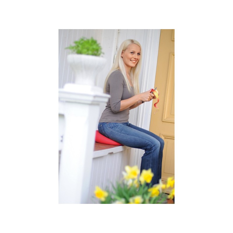 Mise en situation SITFIT® Rouge 33 cm - Plateau gonflé d'air - Ballon Musculation - Coussin d'assise