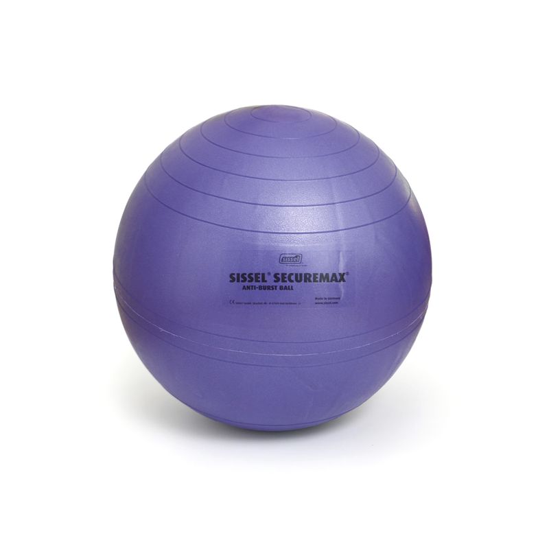 HBselect Balle de Fitness pour Pilates Ballon Grossesse Ballon Gym et de  Grossesse décathlon Gym Ball fitball swissball Sitting Ball 65 cm,avec Base  de Stabilité, Bandes de Résistance, Notice & Pompe en